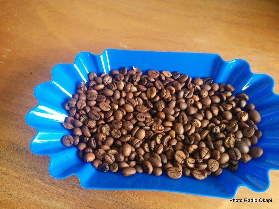 La production annuelle de café au Nord-Kivu est passée de 800 à 3 400 tonnes entre 2011 et 20016. Ph. Radio Okapi/Rasalie Zawadi